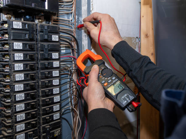 Best Home Electrical Repair  in Pandora, OH